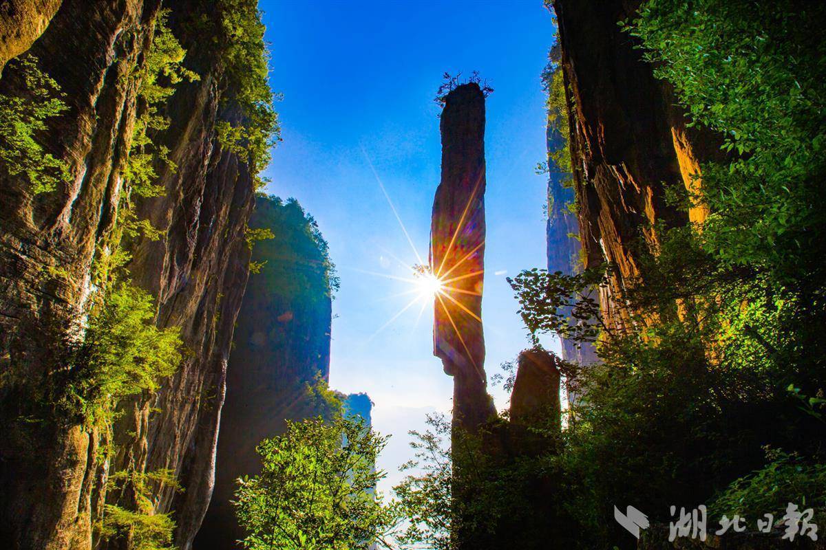 澳门 网络